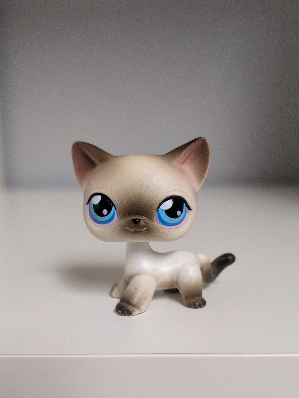 Littlest Pet Shop Shorthair Cat #5 Authentic Hasbro Main 5 Collectible Figure